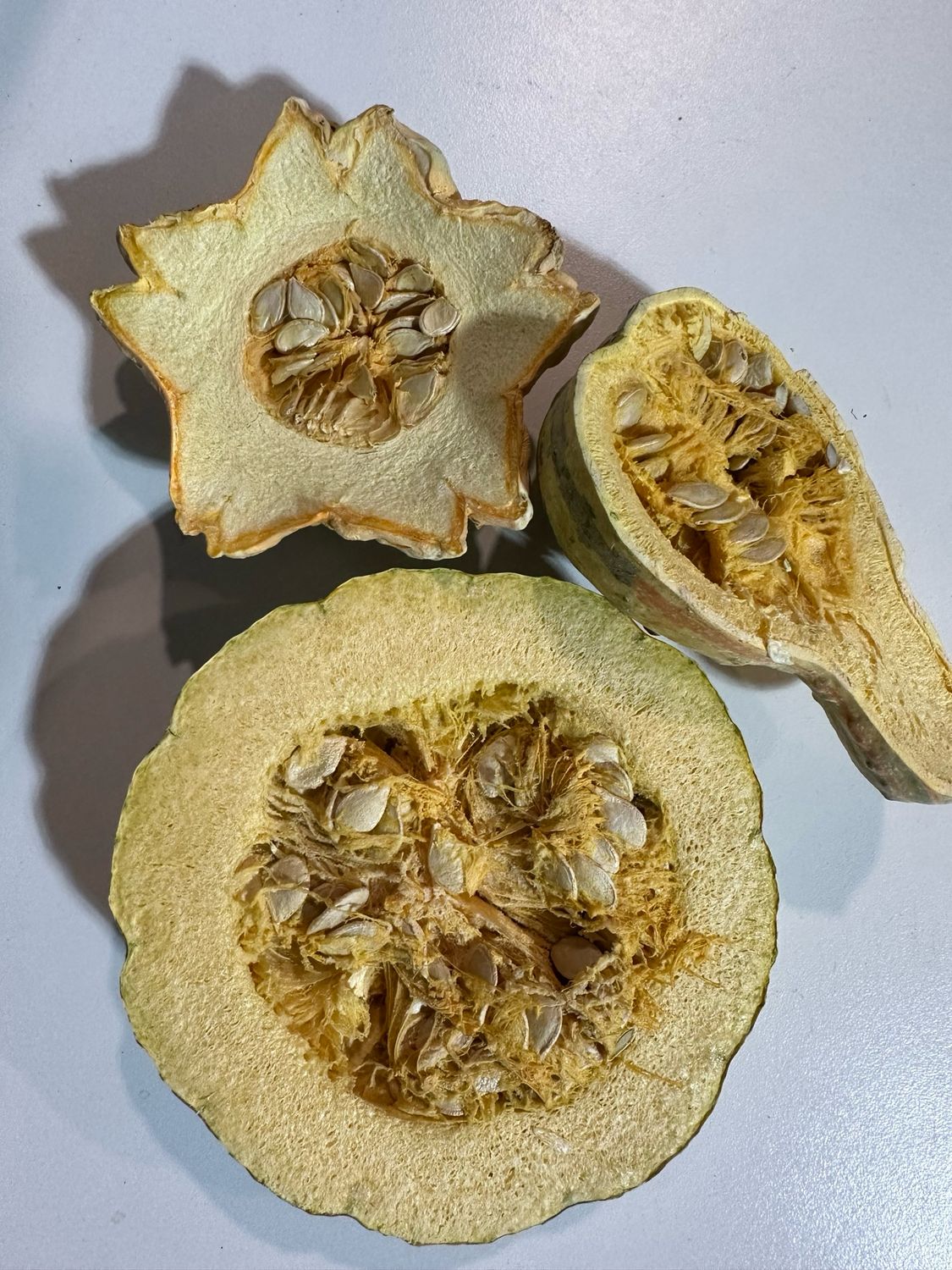 Biodiversity Autumn Bounty