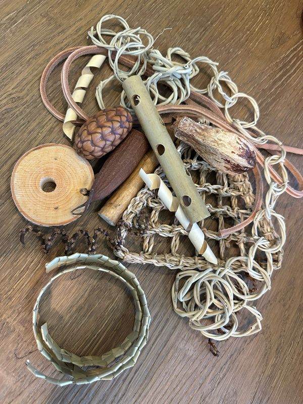 Ultimate Natural Foraging Pack