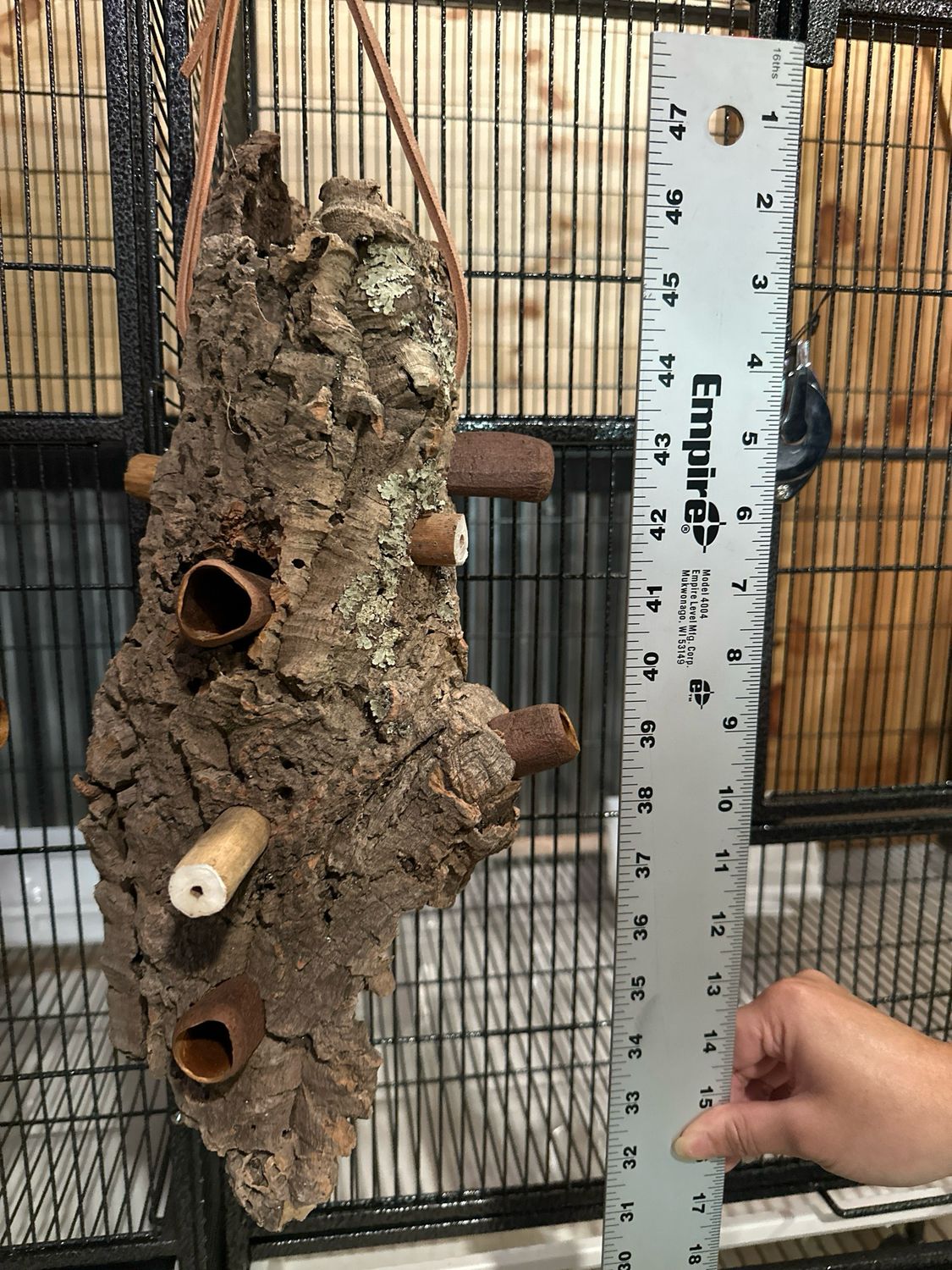 Log Roll Forager (Medium)