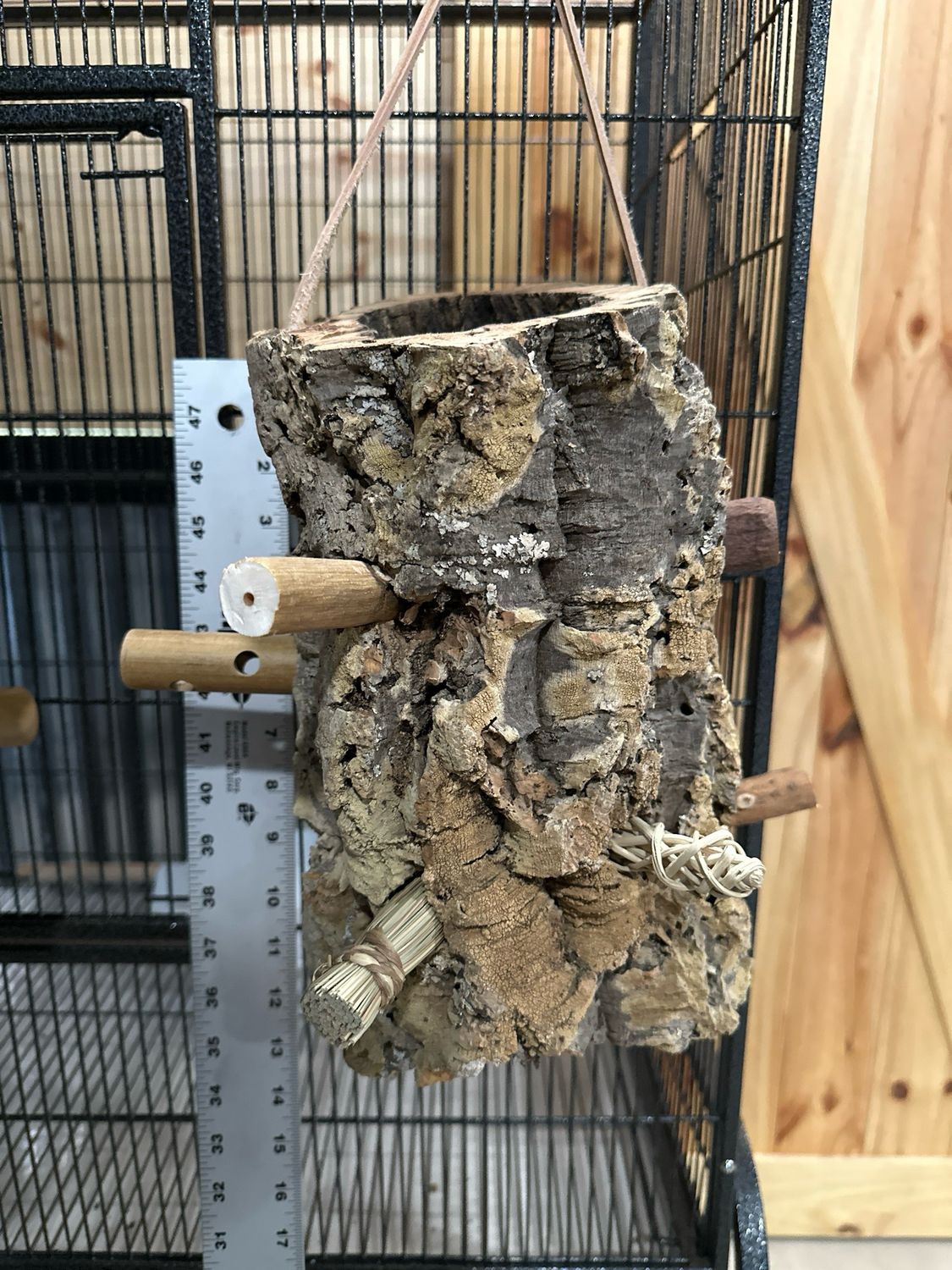 Log Roll Forager (Medium)