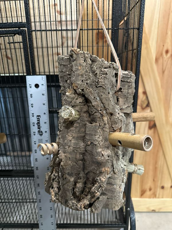 Log Roll Forager (Medium)