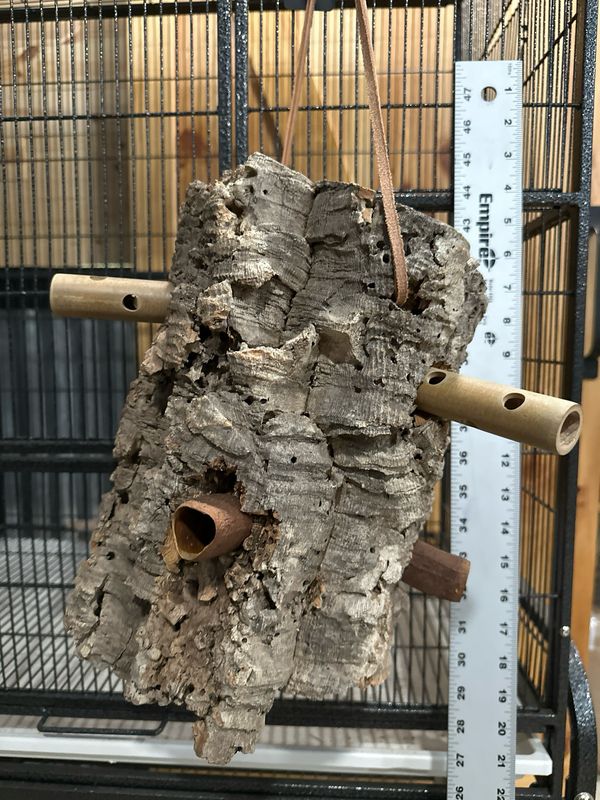 Log Roll Forager (Medium)