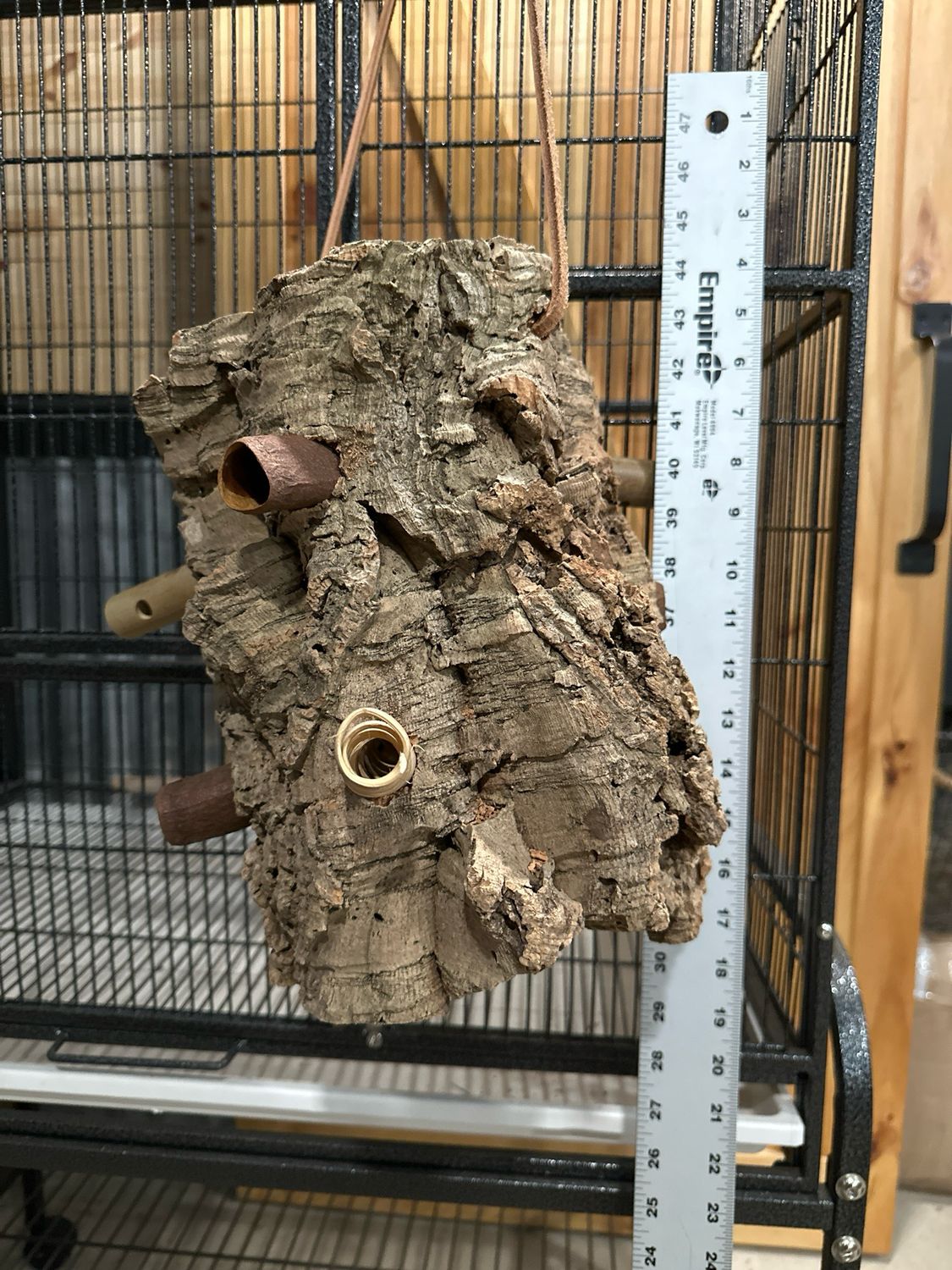 Log Roll Forager (Medium)