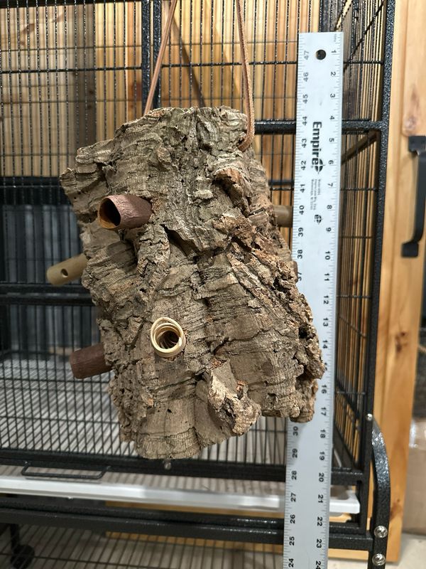 Log Roll Forager (Medium)