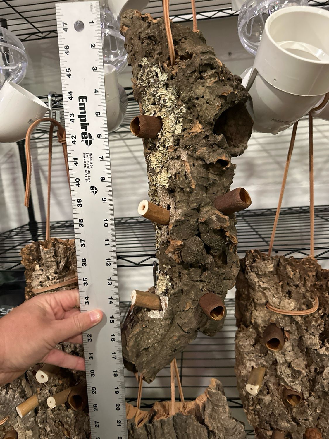 Log Roll Forager (Large)