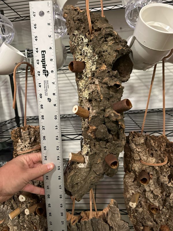 Log Roll Forager (Large)