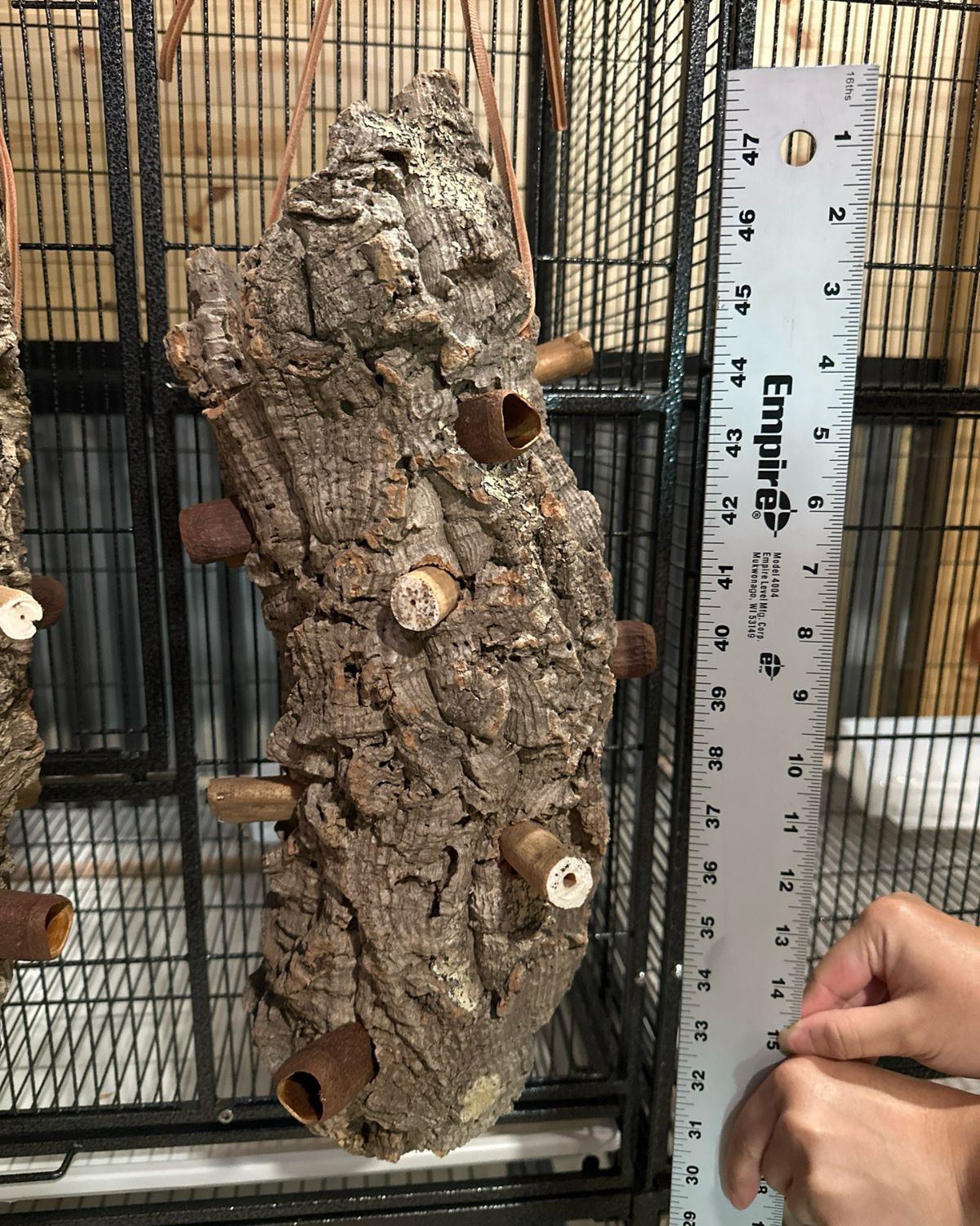 Log Roll Forager (Medium)