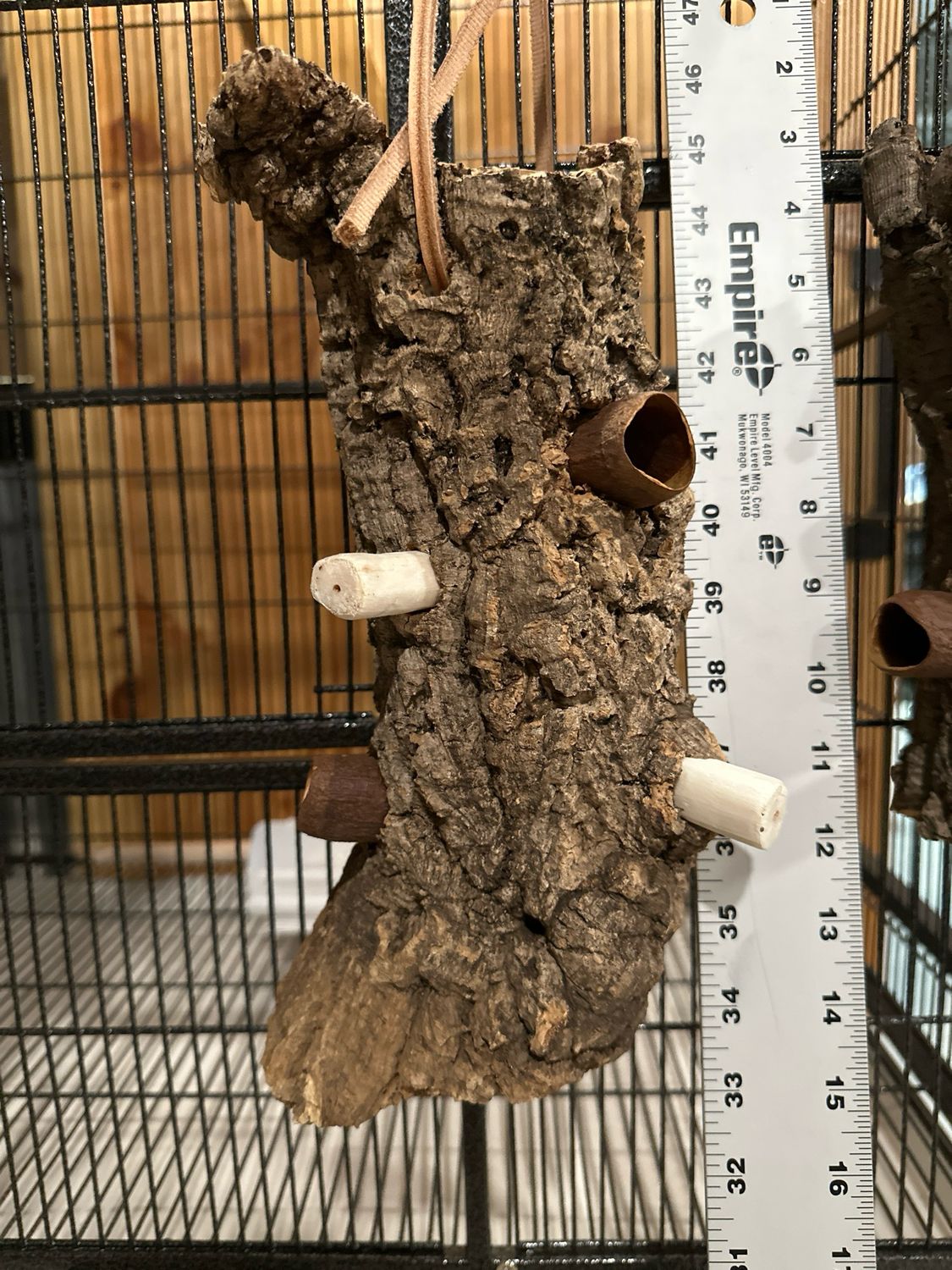 Log Roll Forager (Medium)