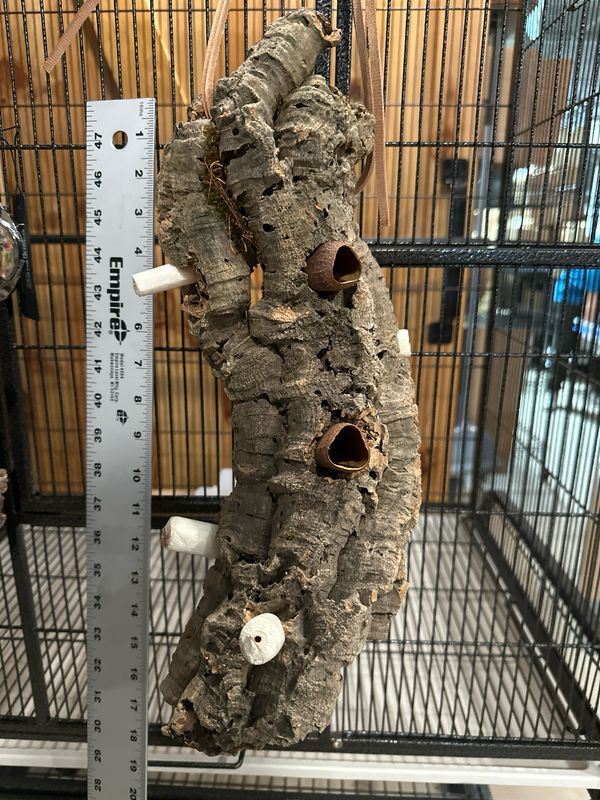 Log Roll Forager (Medium)