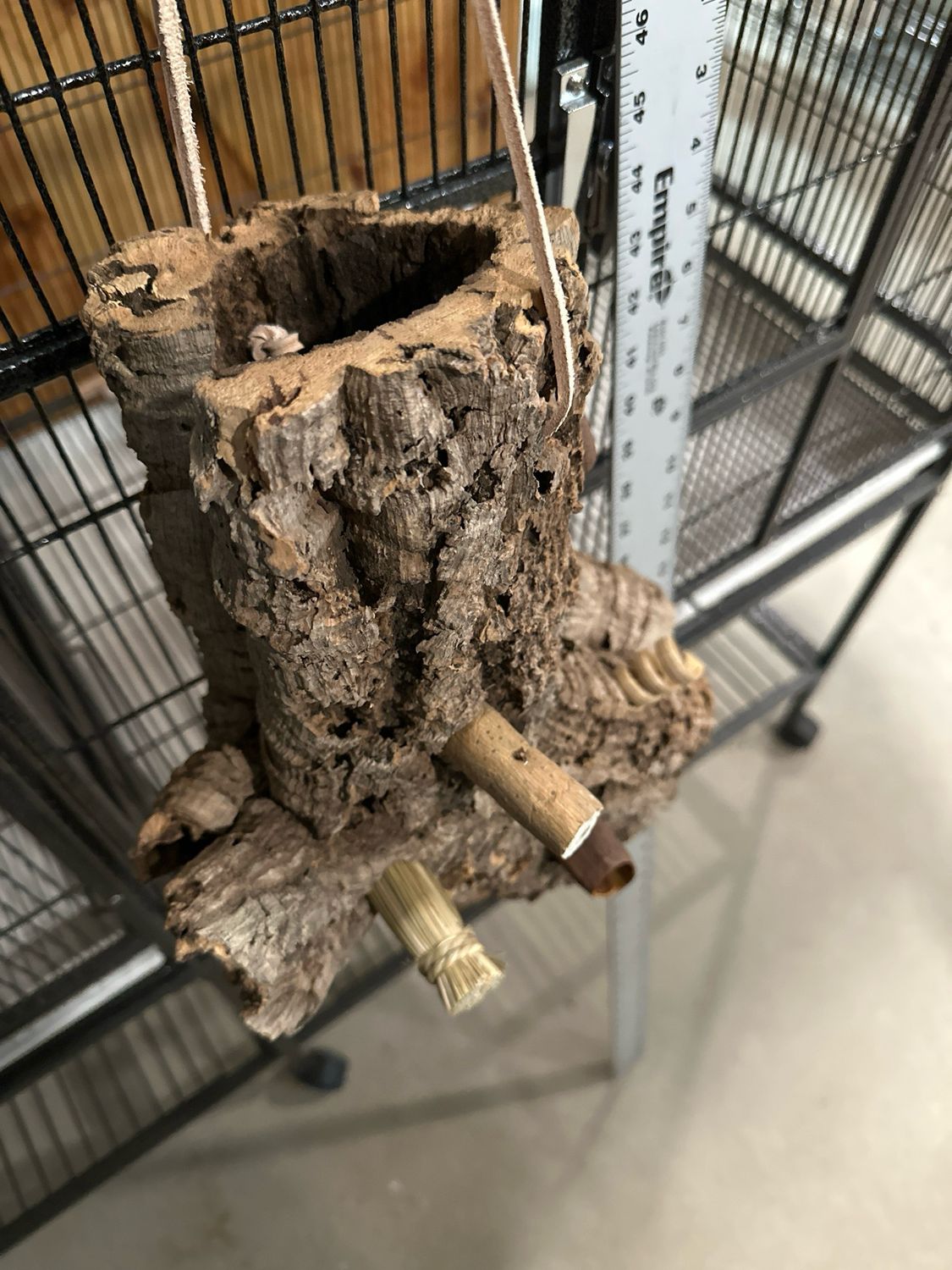 Log Roll Forager (Medium)