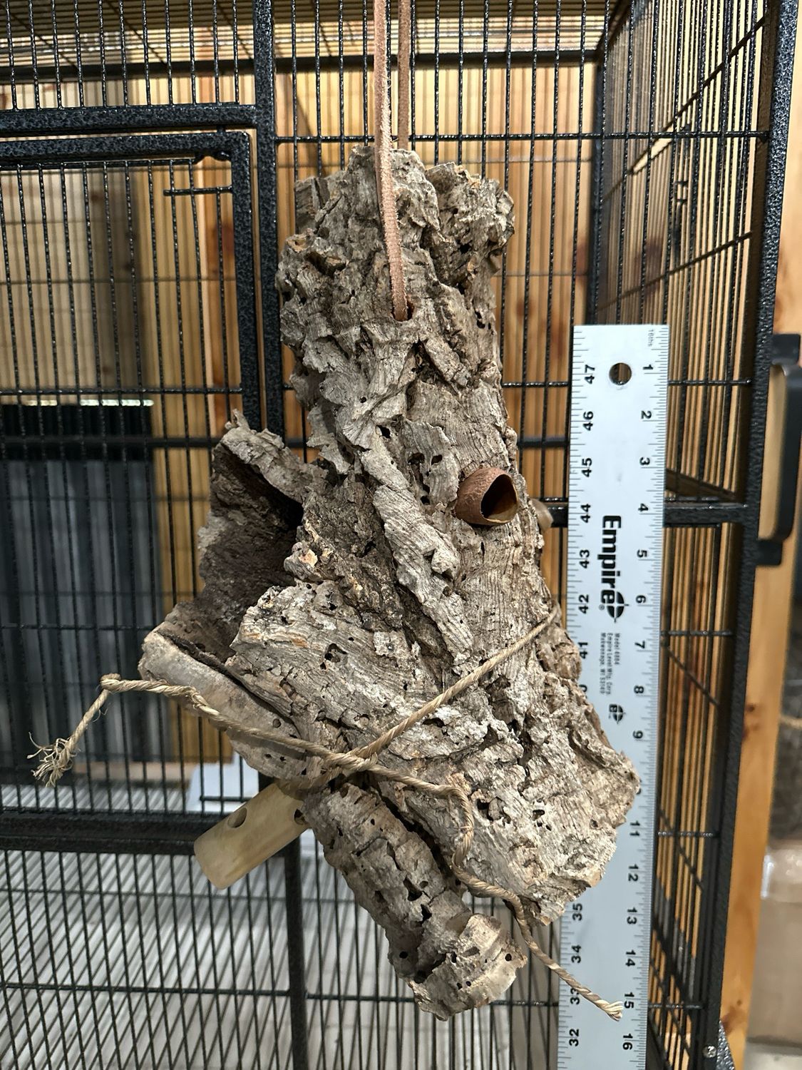 Log Roll Forager (Medium)