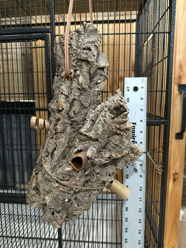 Log Roll Forager (Medium)