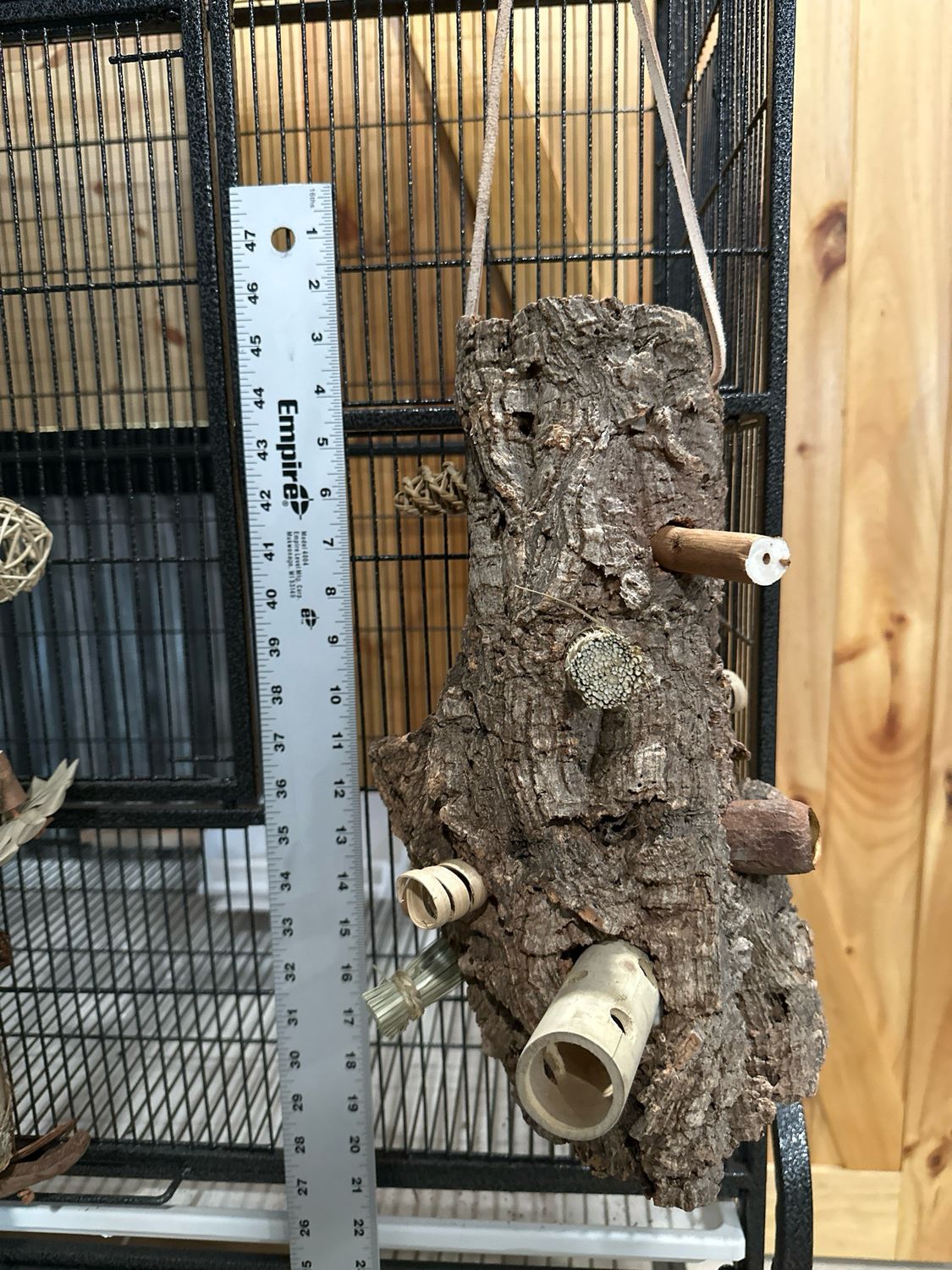 Log Roll Forager (Medium)