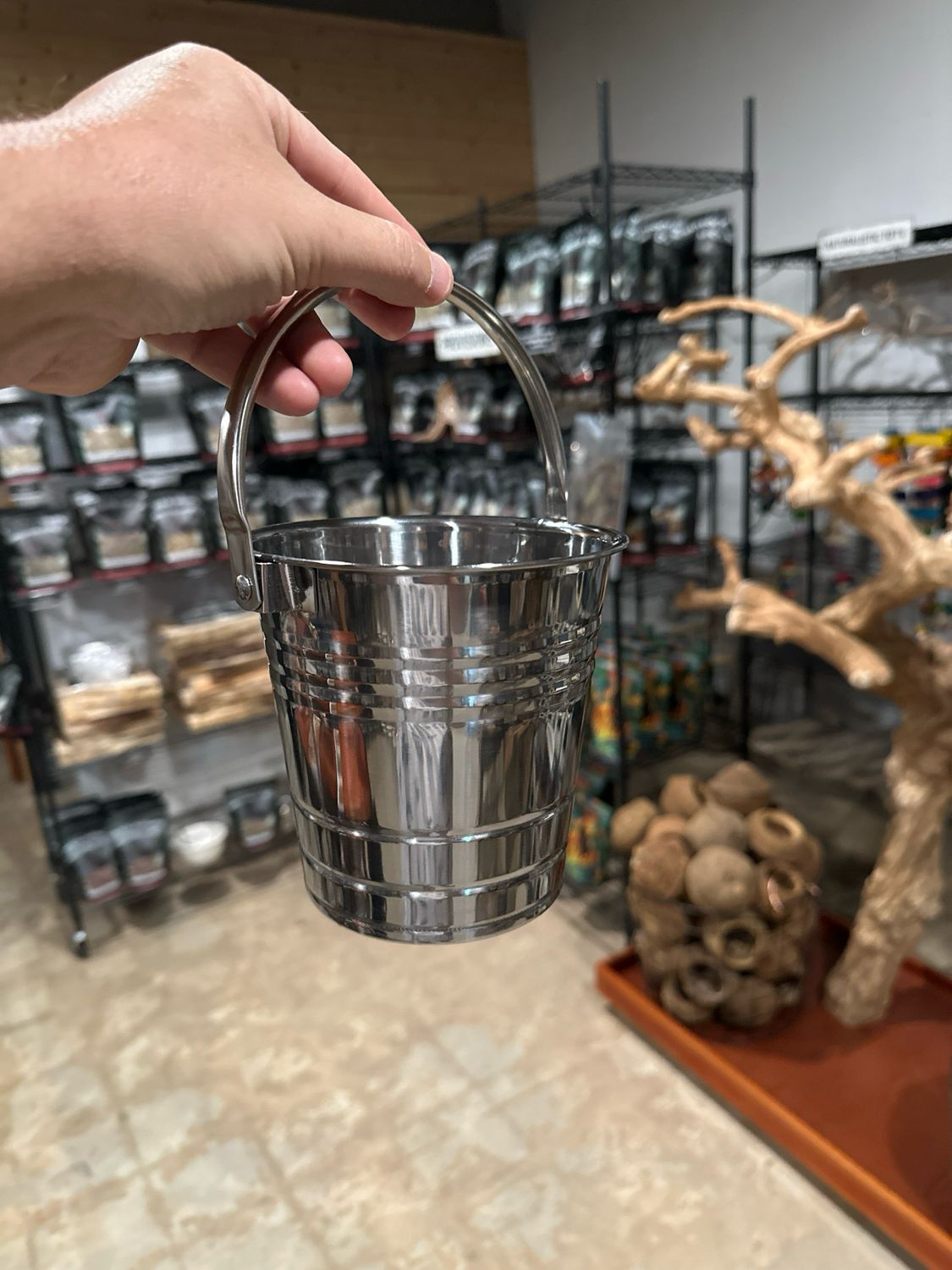 Stainless Steel Foraging Bucket Medium
