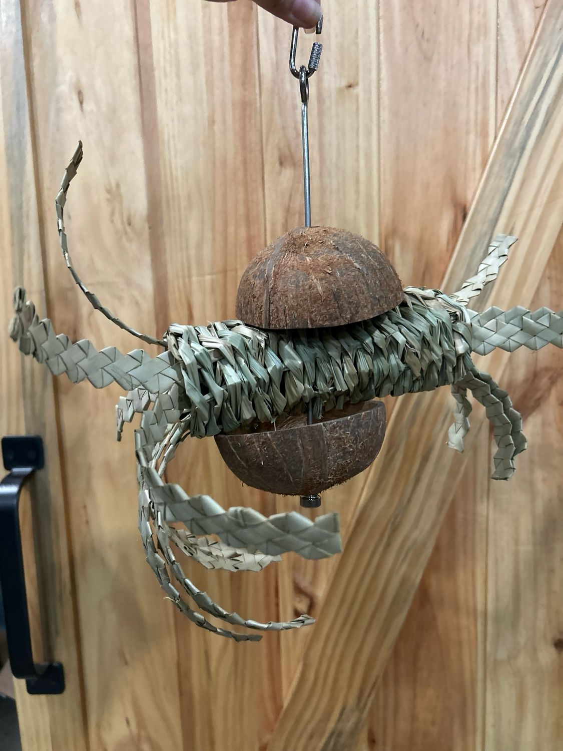 Coconut Octopus Forager (on SS skewer)