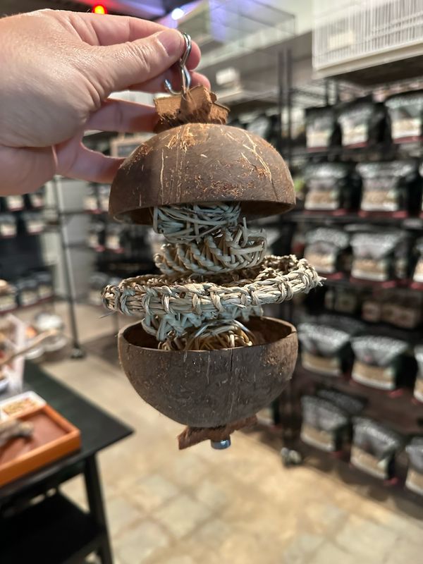 Coconut Waffle Forager (on SS skewer)