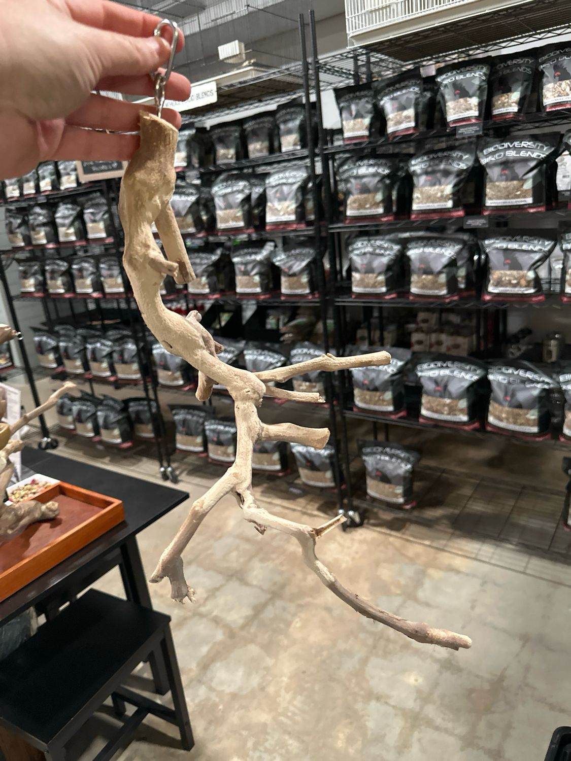 Swingin’ Sway Station Hanging Perch