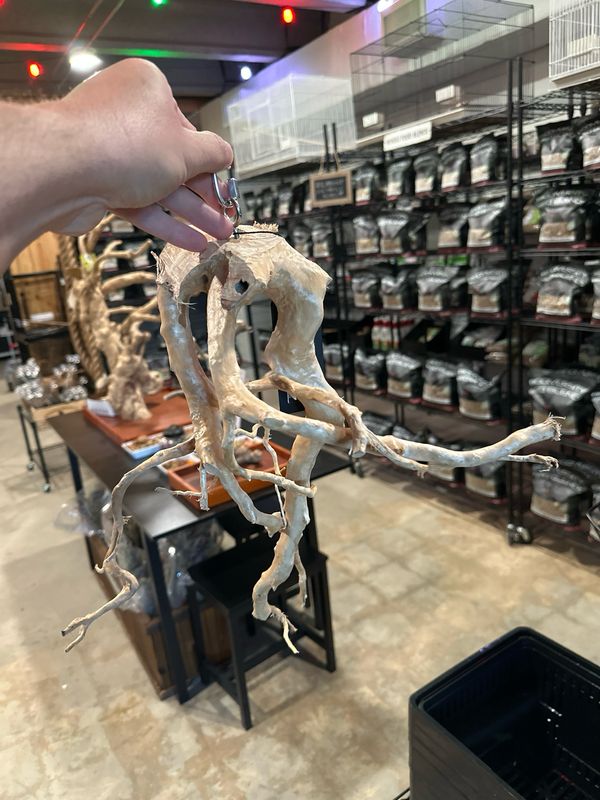 Swingin’ Sway Station Hanging Perch