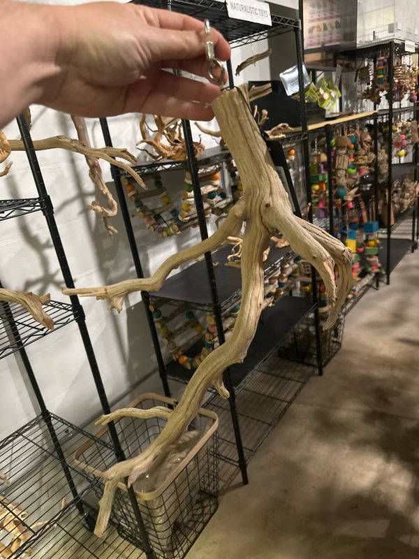 Swingin’ Sway Station Hanging Perch