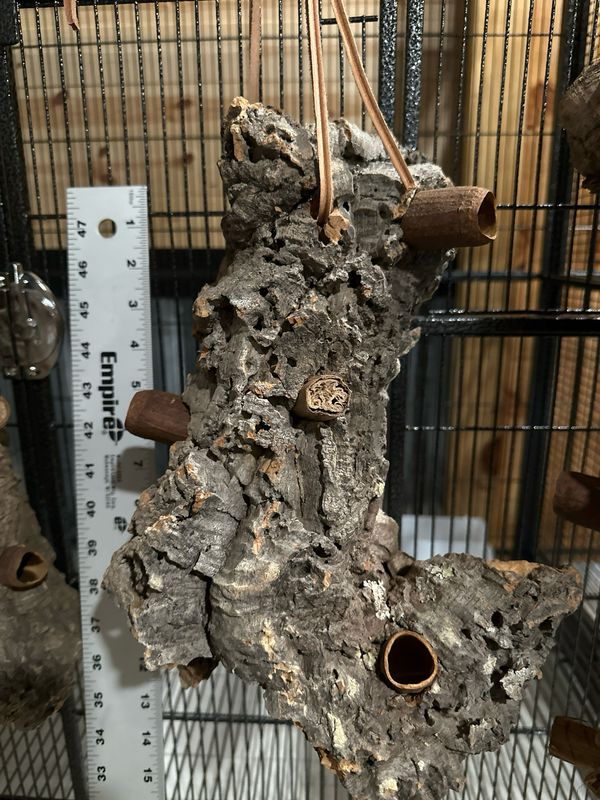 Log Roll Forager (Medium)