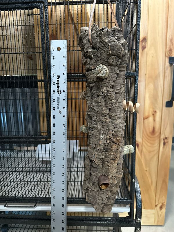 Log Roll Forager (Medium)