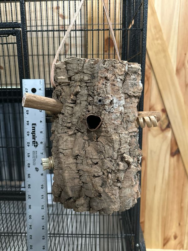 Log Roll Forager (Medium)