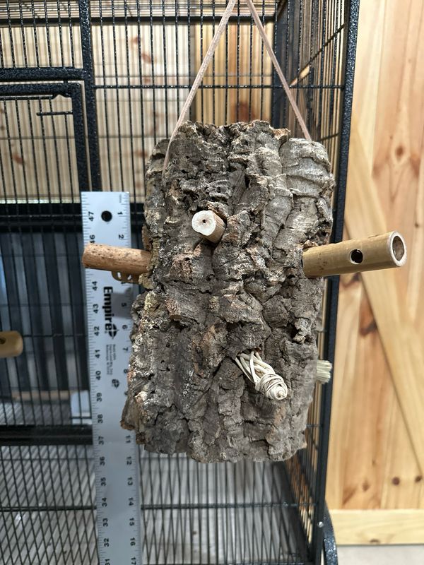 Log Roll Forager (Medium)