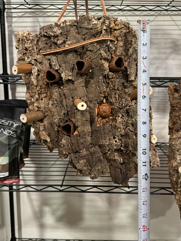 Chunky Corkwood Climbing Wall (Medium-Large)