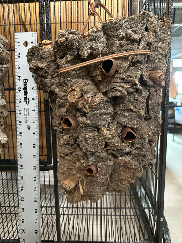 Chunky Corkwood Climbing Wall (Large)