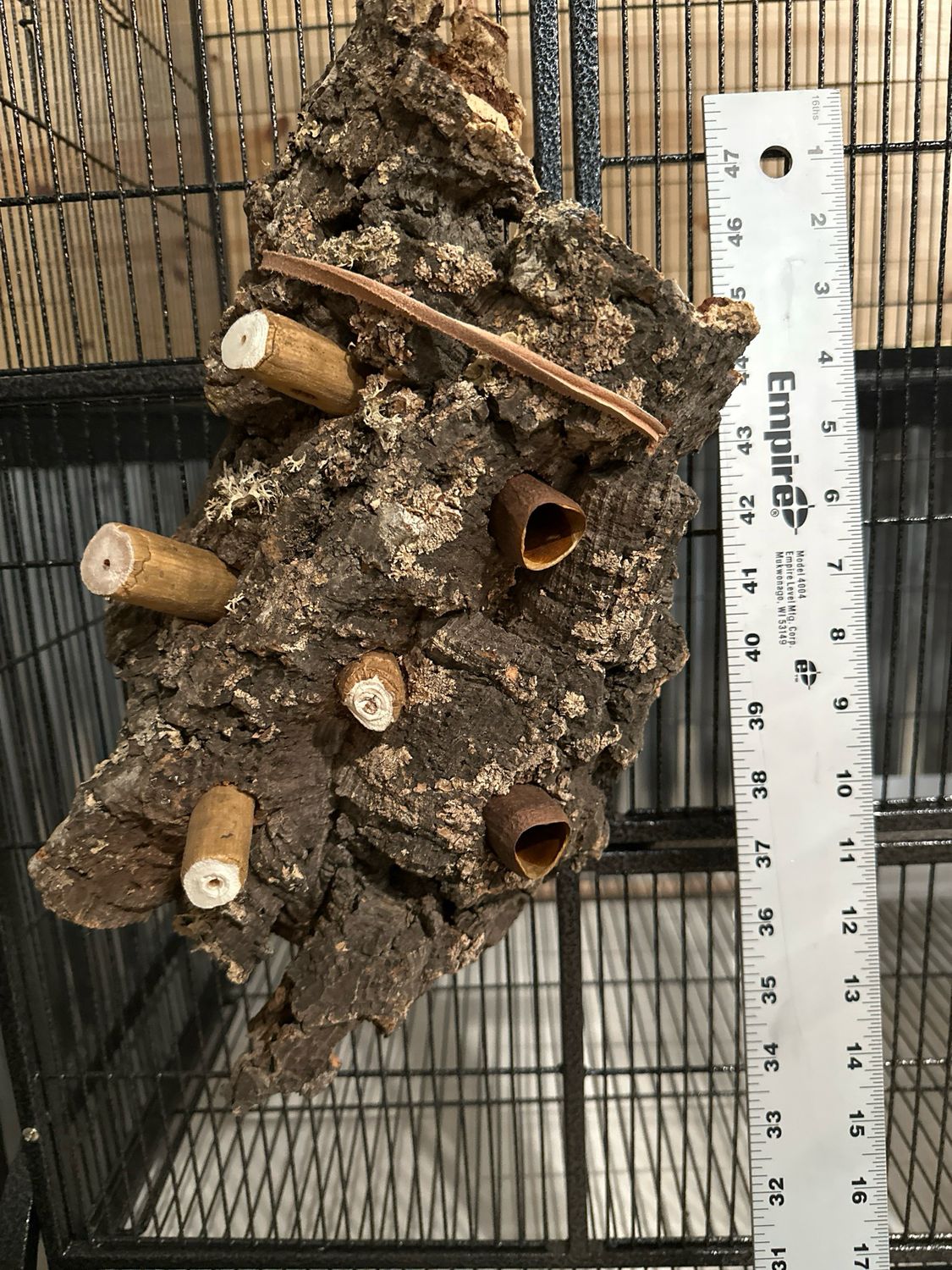 Chunky Corkwood Climbing Wall (Medium)