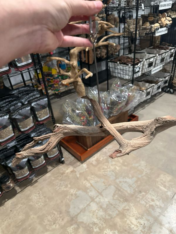 Swinging Sway Foraging Perch (Medium)