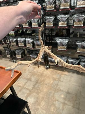 Swinging Sway Foraging Perch (Large)