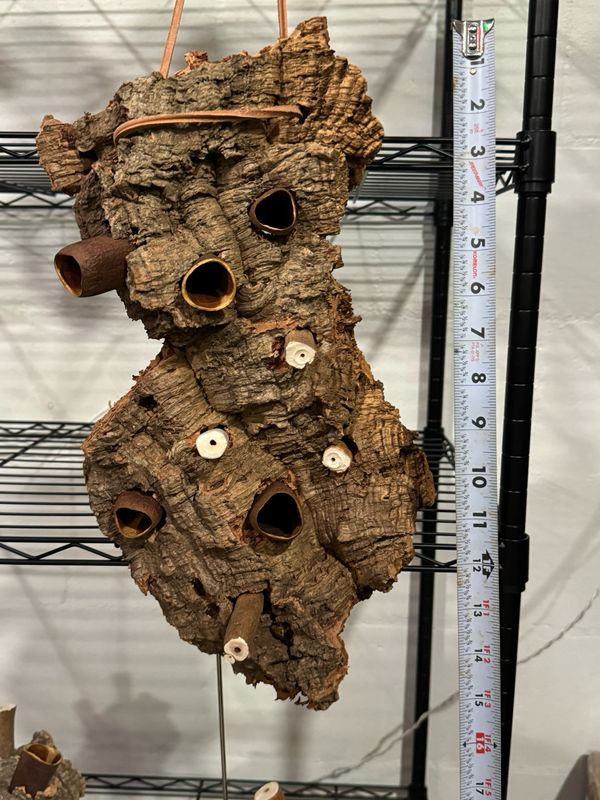 Chunky Corkwood Climbing Wall (Small-Medium)