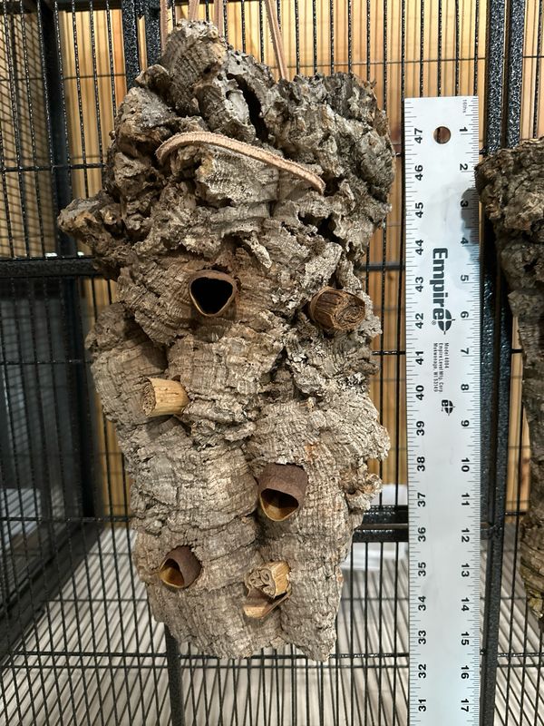 Chunky Corkwood Climbing Wall (Medium)