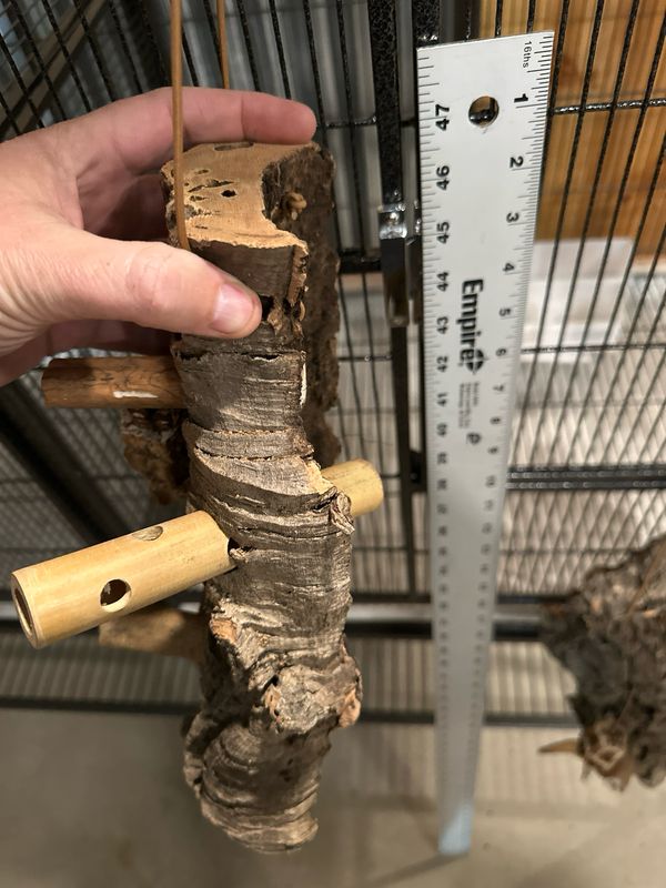 Chunky Corkwood Climbing Wall (Medium)