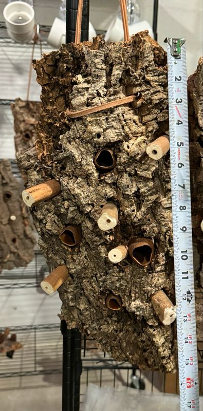 Chunky Corkwood Climbing Wall (Medium-Large)