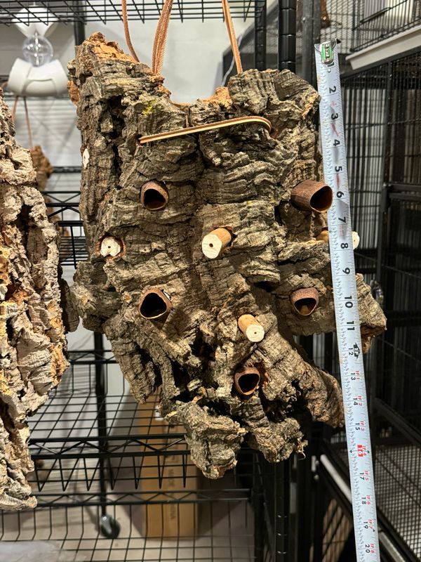 Chunky Corkwood Climbing Wall (Extra Large)