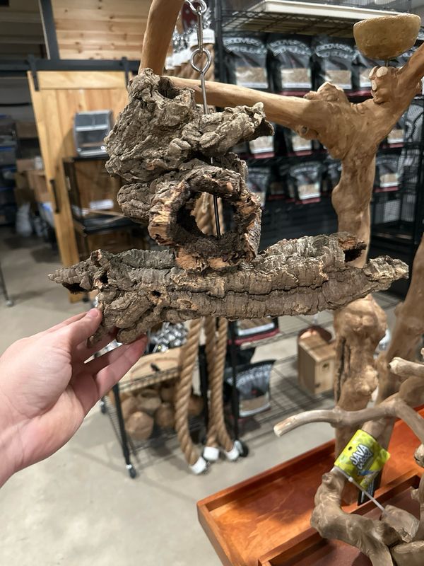 Corkwood Foraging Platform Perch