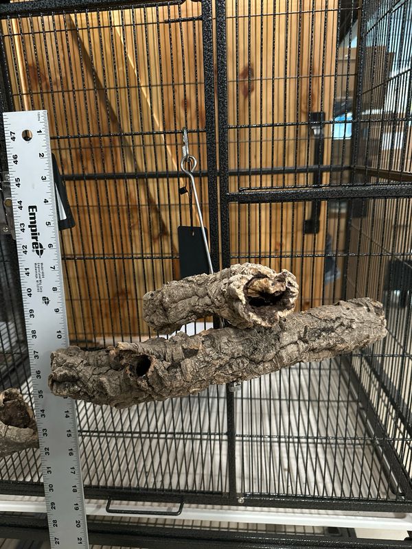 Corkwood Foraging Platform Perch