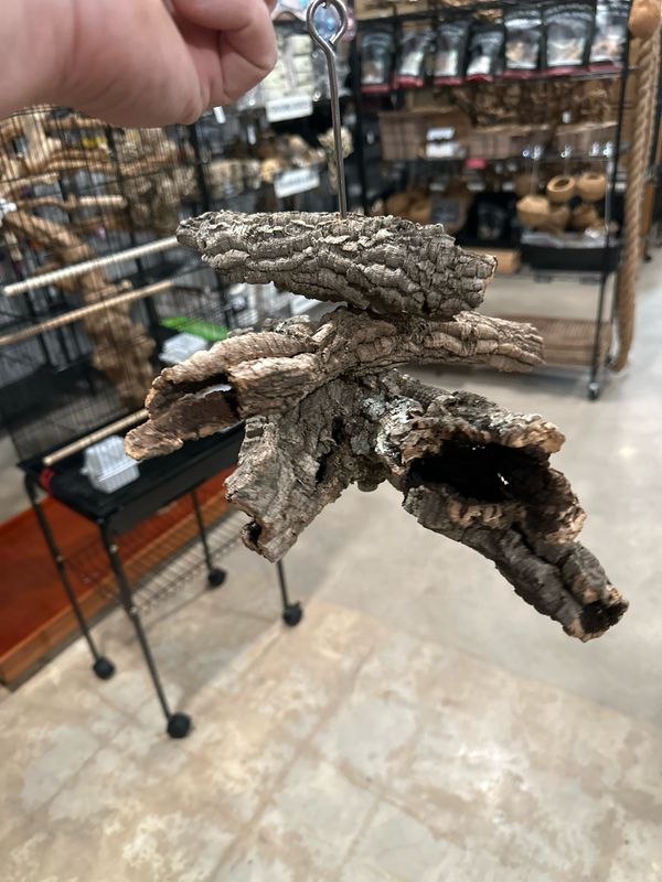 Corkwood Foraging Platform Perch