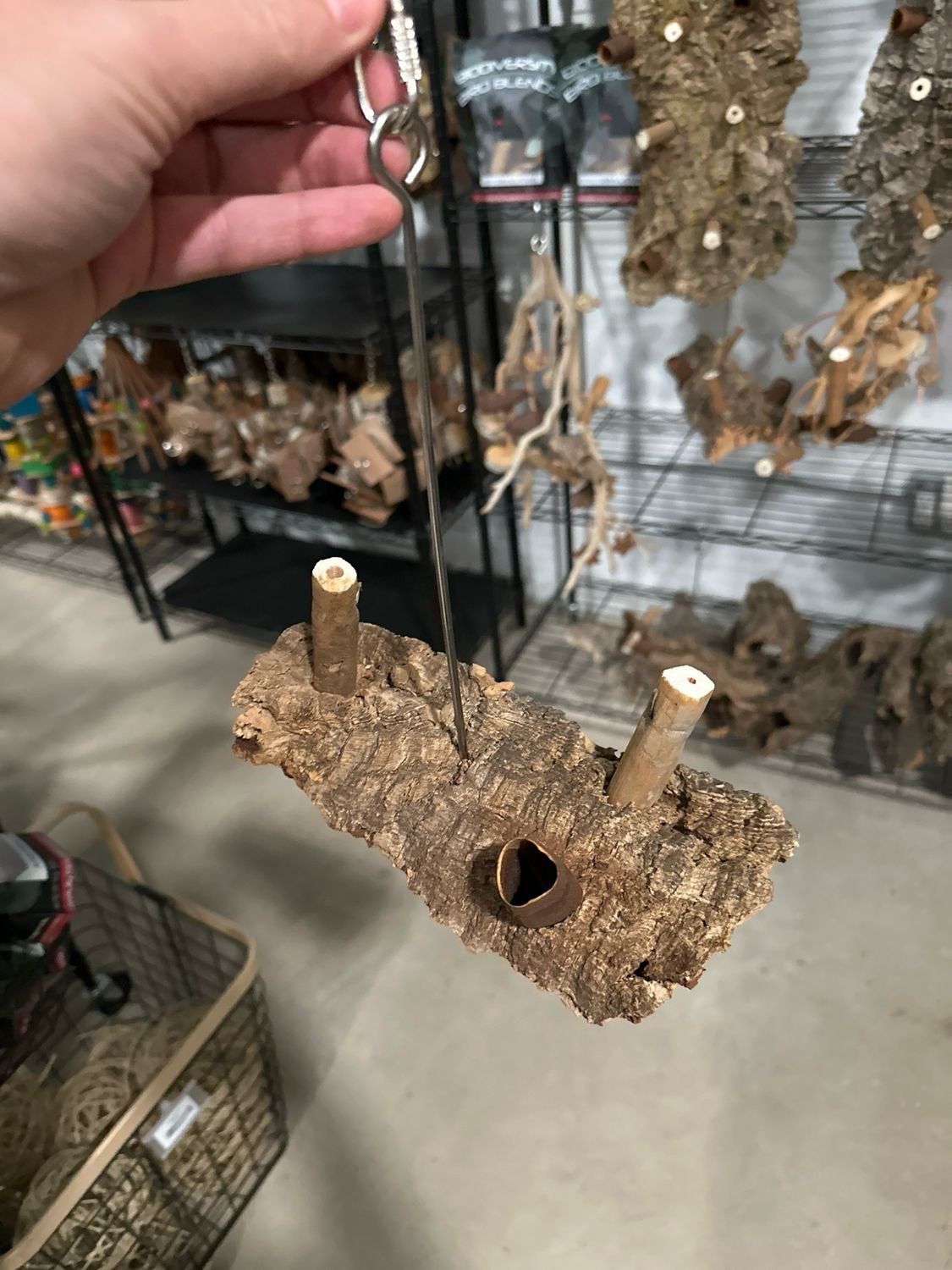 Corkwood Foraging Platform Perch