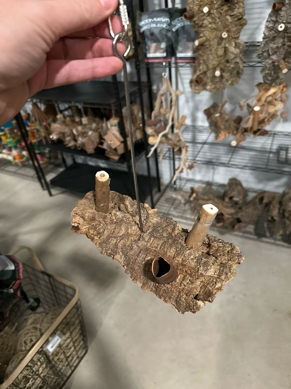 Corkwood Foraging Platform Perch