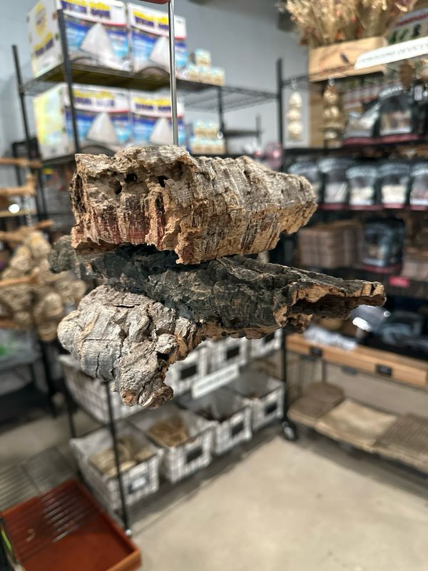 Corkwood Foraging Platform Perch
