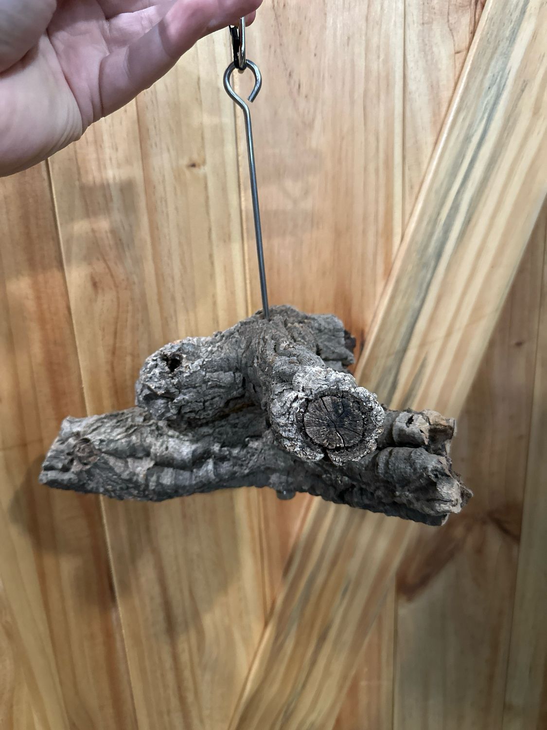 Corkwood Foraging Platform Perch