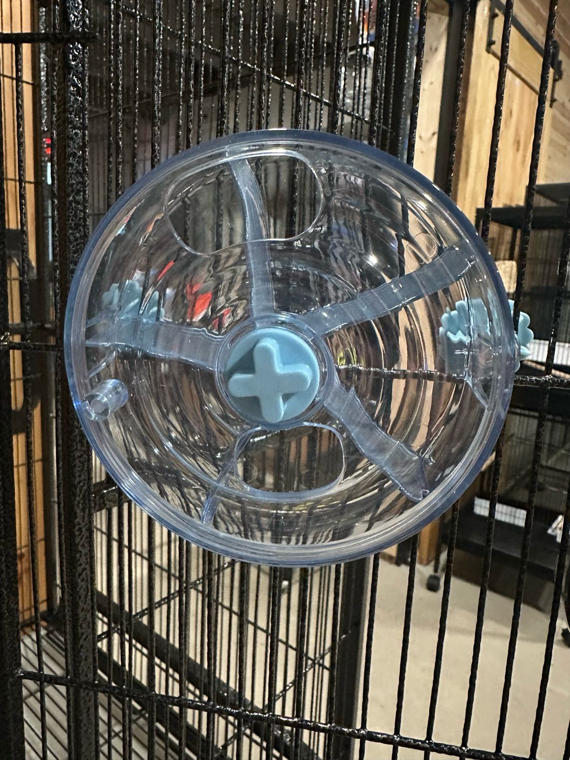 Clearly Puzzling Forager