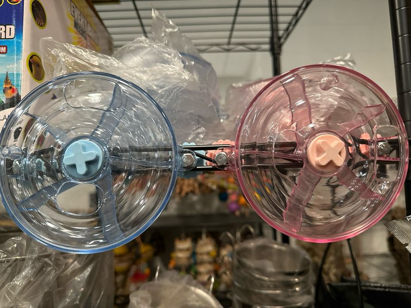 Clearly Puzzling Forager