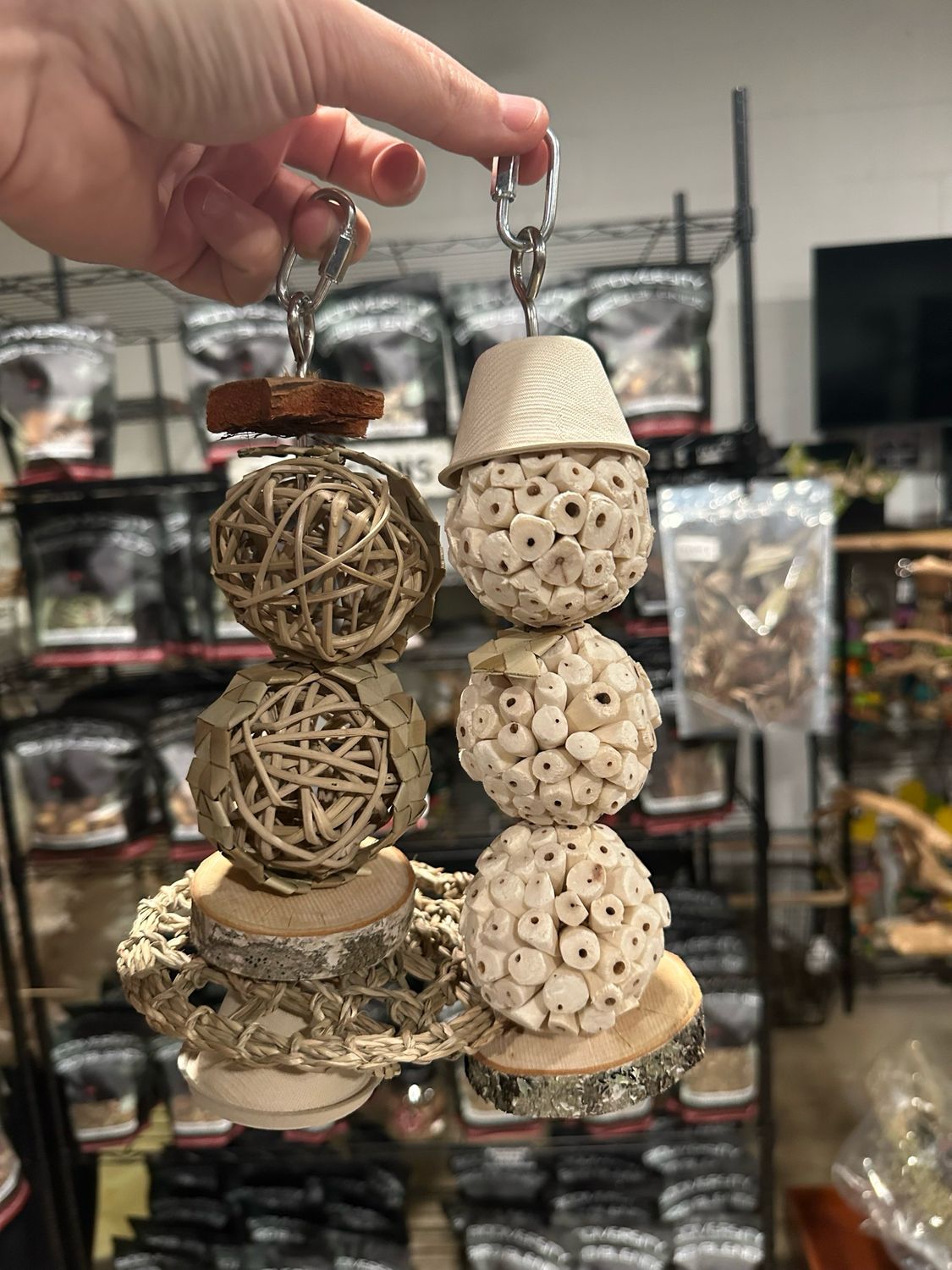 Holiday Foraging Special