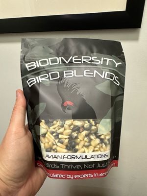 Blue &amp; Gold Sprouting Corn