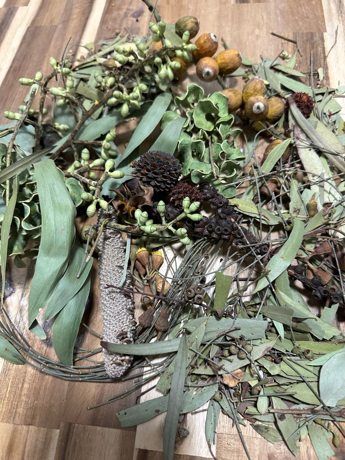 BIODIVERSITY GO WILD! FREEZE-DRIED FORAGE