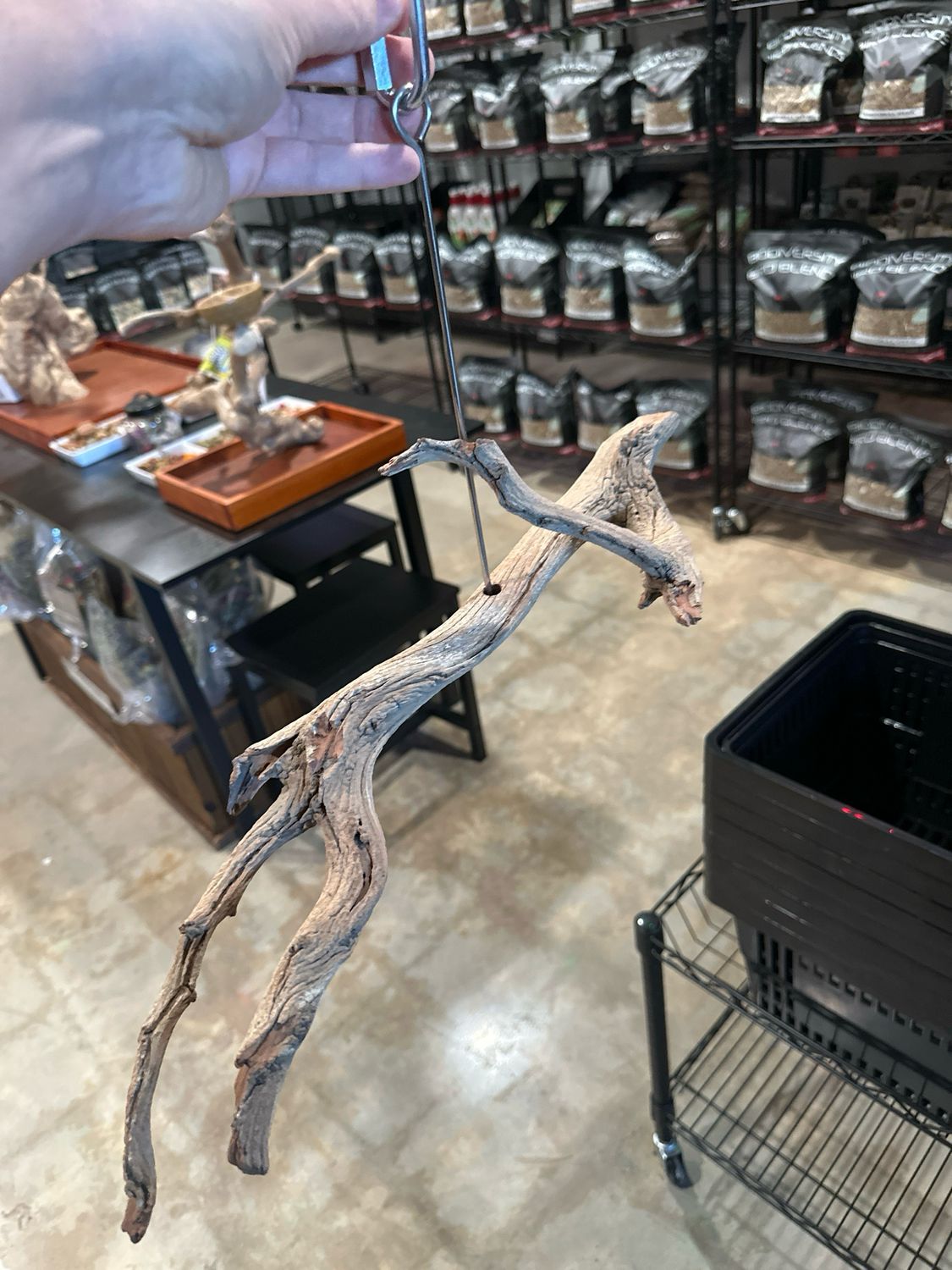 Swinging Sway Foraging Perch (Large)